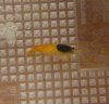 P1070255_small#.jpg