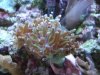 DSCF6879.jpg