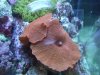 DSCF6880.jpg