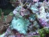 DSCF6881.jpg