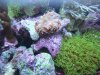 DSCF6884.jpg