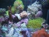 DSCF6897.jpg