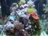 DSCF6892.jpg