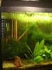 Dsc05743.jpg