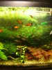 Dsc05745.jpg