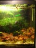 Dsc05746.jpg