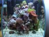 DSCF6878.jpg