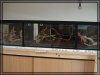 comp_DSC01686.jpg