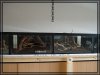 comp_DSC01689.jpg