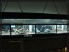 comp_DSC01694.jpg