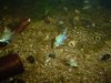 DSC04102.JPG