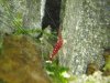 2010.02.07.003.jpg