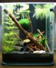 Nano10l.jpg