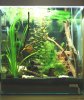 Nano30l.jpg