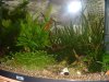 Juwel 2010 004.JPG