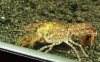 DSCF1173.JPG