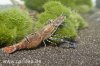 IMG_3219 Kopie.jpg