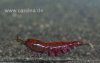 IMG_3193 Kopie.jpg