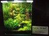 DSCF1241.JPG