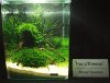 DSCF1249.JPG