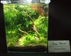 DSCF1251.JPG