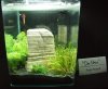 DSCF1257.JPG
