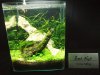 DSCF1259.JPG