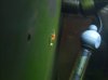 cam 291.jpg