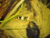 2010.02.12. 001.jpg