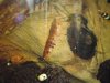 2010.02.12. 003.jpg