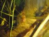 2010.02.12. 004.jpg