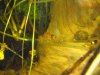 2010.02.12. 005.jpg