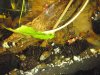 2010.02.13.003.jpg
