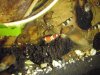 2010.02.13.005.jpg