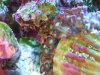 DSCF6966.jpg