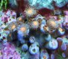 DSCF6972.jpg
