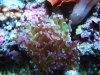 DSCF6971.jpg