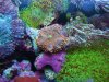 DSCF6976.jpg