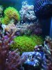 DSCF6982.jpg
