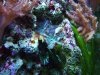 DSCF6980.jpg