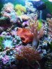 DSCF6984.jpg