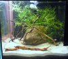 DSC01686.JPG