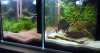 DSC01689.JPG