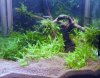 DSC01711.JPG