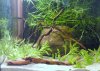 DSC01715.JPG