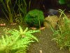 DSC01515.jpg