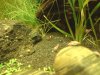 DSC01527.jpg