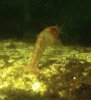 DSC00469.JPG