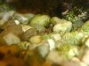 Farbform-F3.jpg