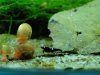 DSC00593.JPG